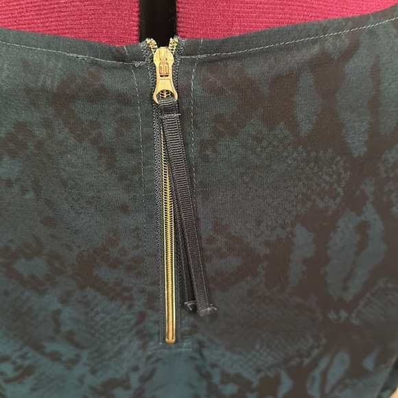 🖤The Limited🖤 Ombré, snake print blouse, size L - Picture 5 of 10